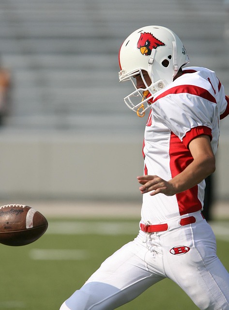 德国杯决赛 德国杯决赛