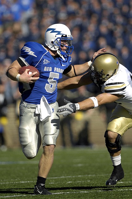 的场上视野 的场上视野