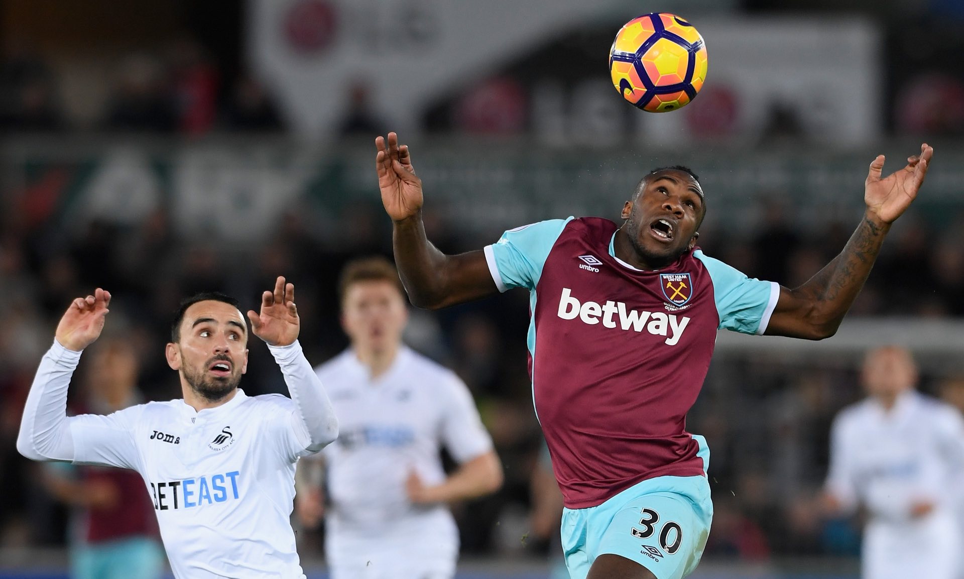 肌肉增长的 肌肉增长的