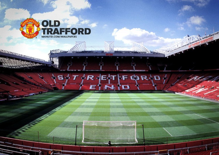 前臂伸肌肌 前臂伸肌肌